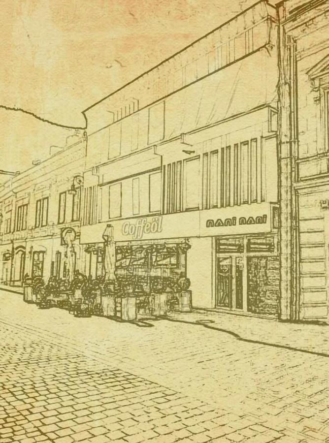 Hotel Nani Nani Boutique à Braşov Extérieur photo